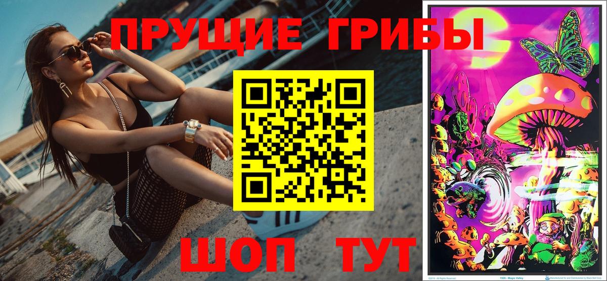 Псилоцибиновые грибы GOLDEN TEACHER  Вход с VPN  Дивногорск 